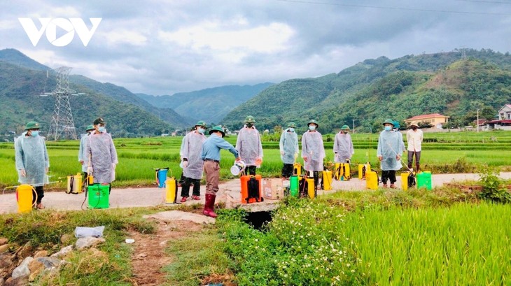 Bộ đội Sơn La giúp dân vùng dịch chăm sóc lúa - ảnh 5