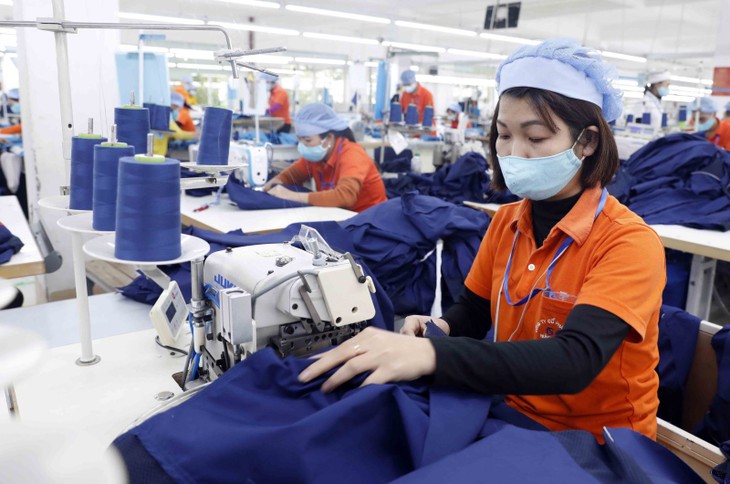 Redressement de la production industrielle nationale  - ảnh 1