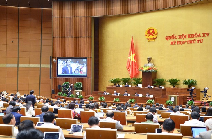 Assemblée nationale: le développement de la production agricole en débat - ảnh 1