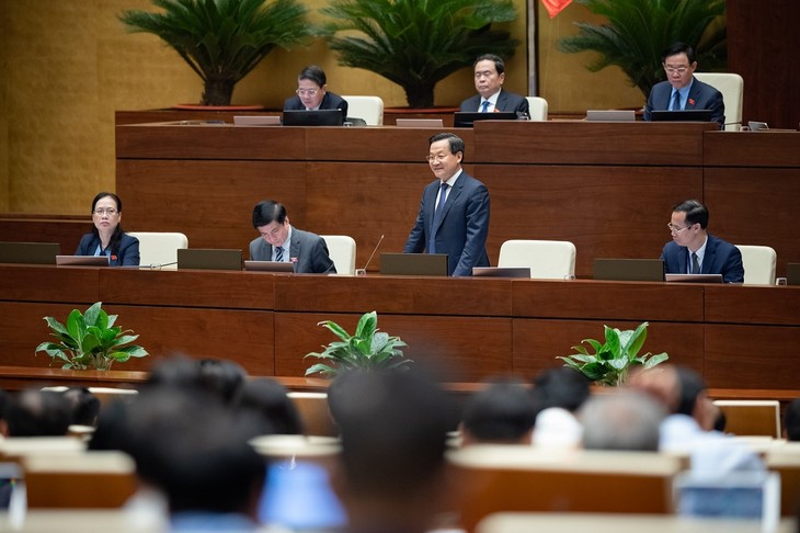 Questions au gouvernement: la meilleure forme de supervision de l’Assemblée nationale - ảnh 2