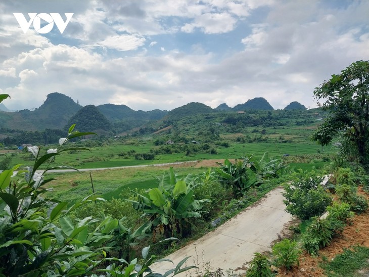 Hà Giang: Un modèle de réussite en matière de reboisement et de développement durable - ảnh 2