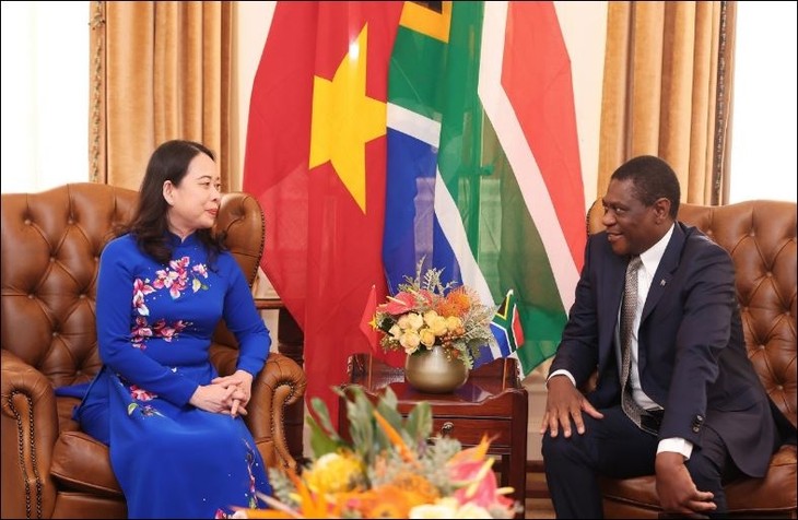 Vo Thi Anh Xuân s’entretient avec son homologue sud-africain, Paul Mashatile - ảnh 1