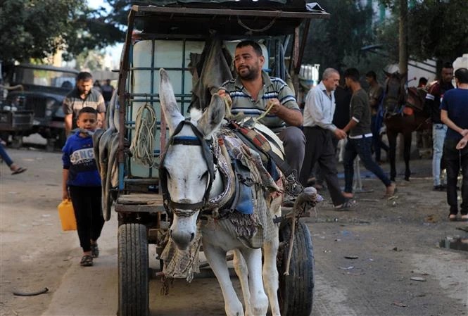 Vers une escalade du conflit: Israël avertit les Palestiniens du sud de Gaza - ảnh 1