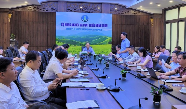 Renforcement des mesures contre l’exploitation illégale des produits de la mer au Vietnam - ảnh 1