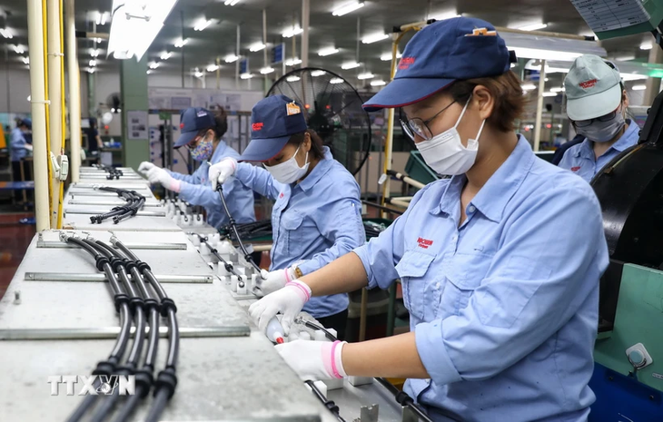 Les investisseurs étrangers renforcent leur confiance en l’économie vietnamienne - ảnh 1