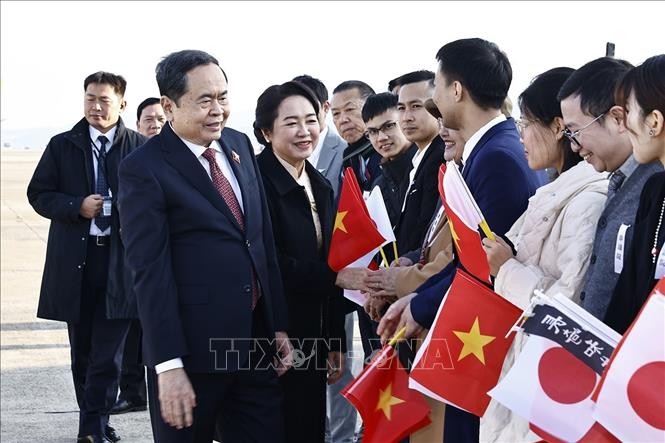 Trân Thanh Mân termine sa visite officielle au Japon - ảnh 1