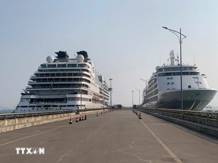 La baie d'Ha Long accueille 6000 croisiéristes internationaux - ảnh 1