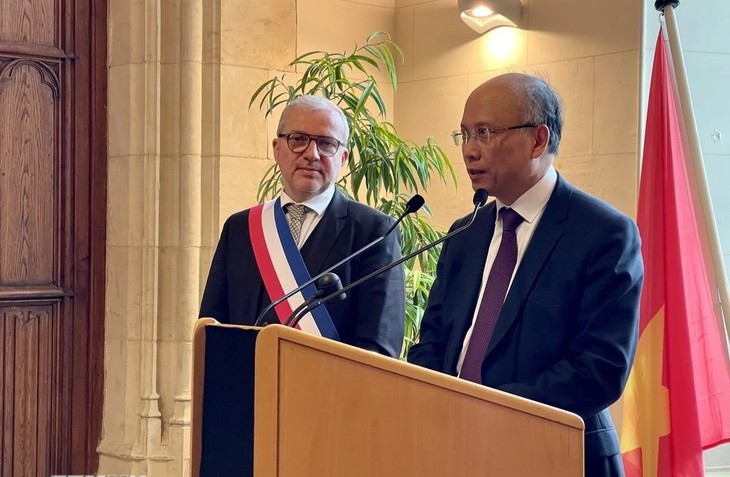 Des Vietnamiens en France célèbrent le Têt anticipé - ảnh 1