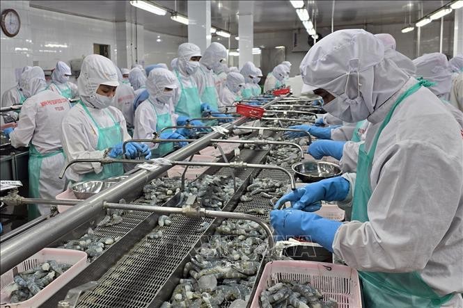 Vietnam: Les exportations de produits aquatiques devraient atteindre 11 milliards de dollars en 2025  - ảnh 1