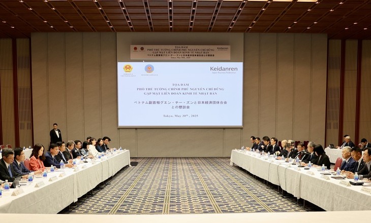 Le vice-Premier ministre vietnamien Nguyên Chi Dung rencontre la fédération Keidanren - ảnh 1