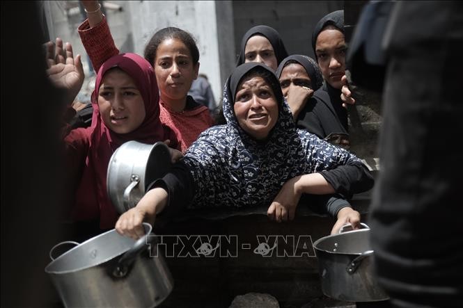 Israël poursuit ses attaques contre des civils en attente d’aide humanitaire à Gaza - ảnh 1