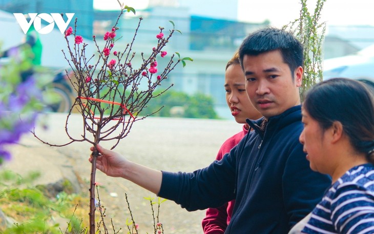 Bustling flower market ahead of Lunar New Year holiday - ảnh 6