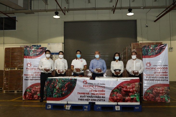 Vietnamese lychees head for EU markets - ảnh 1