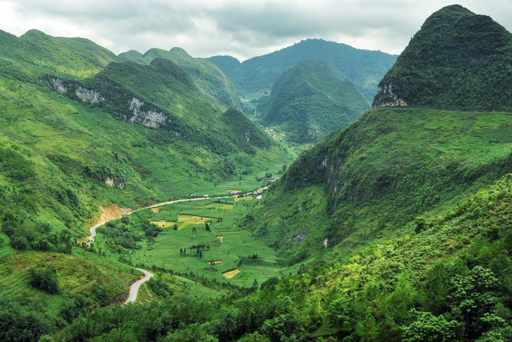 Dong Van corn fields dye rocky plateau green - ảnh 1