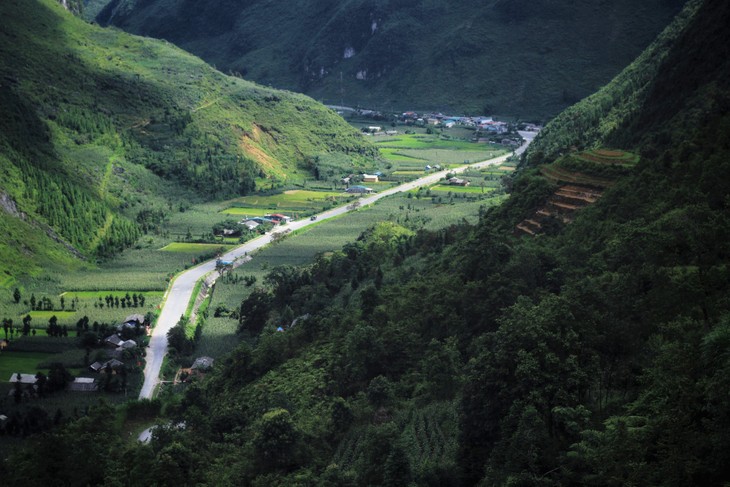 Dong Van corn fields dye rocky plateau green - ảnh 4