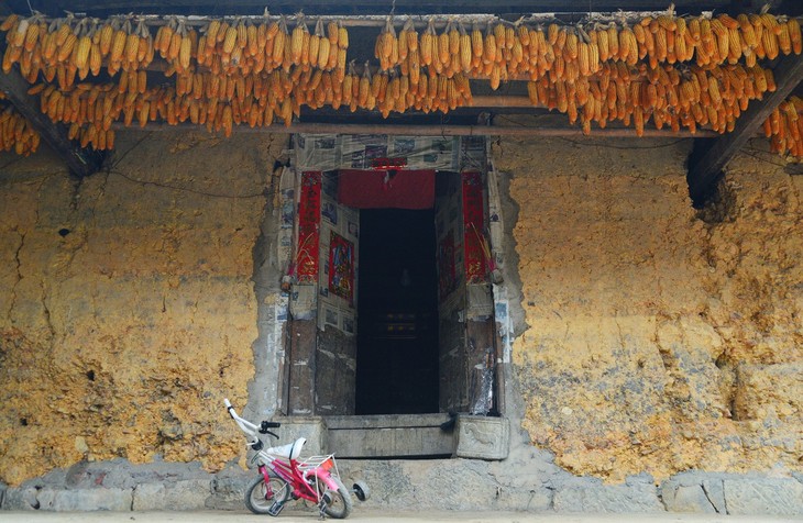 Dong Van corn fields dye rocky plateau green - ảnh 8