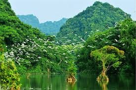 Tourisme: Leçon 9: Voyage à Ninh Binh - Deuxième partie - ảnh 1