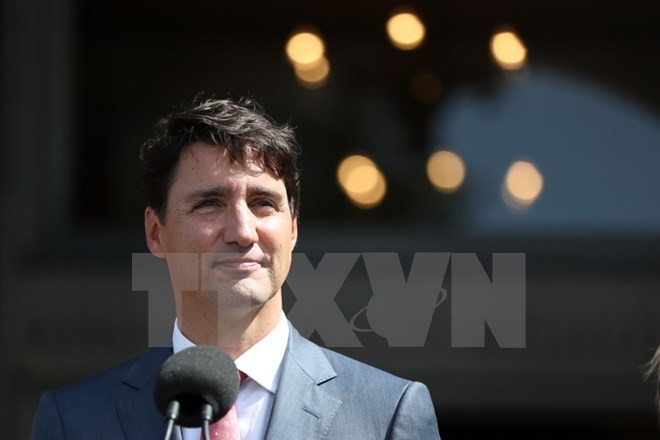 APEC 2017: Justin Trudeau veut renforcer les relations avec le Vietnam - ảnh 1