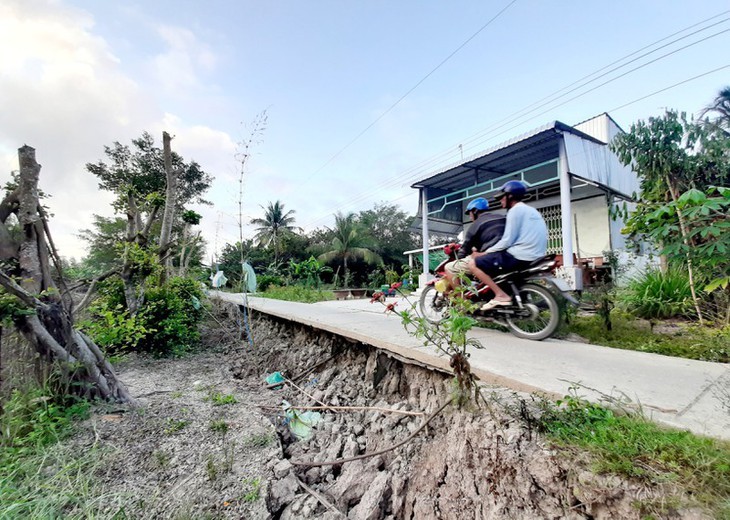 La province de Ca Mau lourdement touchée par la sécheresse - ảnh 10