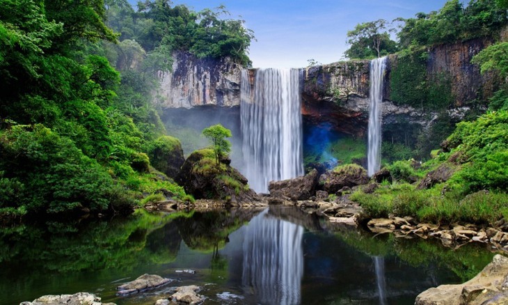 Deux nouvelles réserves de biosphère vietnamiennes reconnues par l’Unesco - ảnh 16