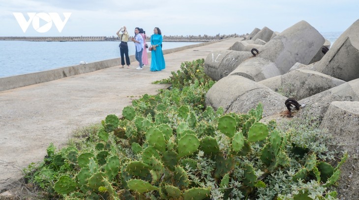 L'île de Bach Long Vi - ảnh 7