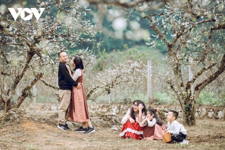 Les pruniers en fleur à Môc Châu - ảnh 3