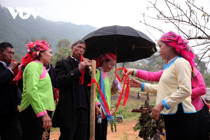 La cérémonie d'accueil de la mariée des Giay à Lai Châu - ảnh 14