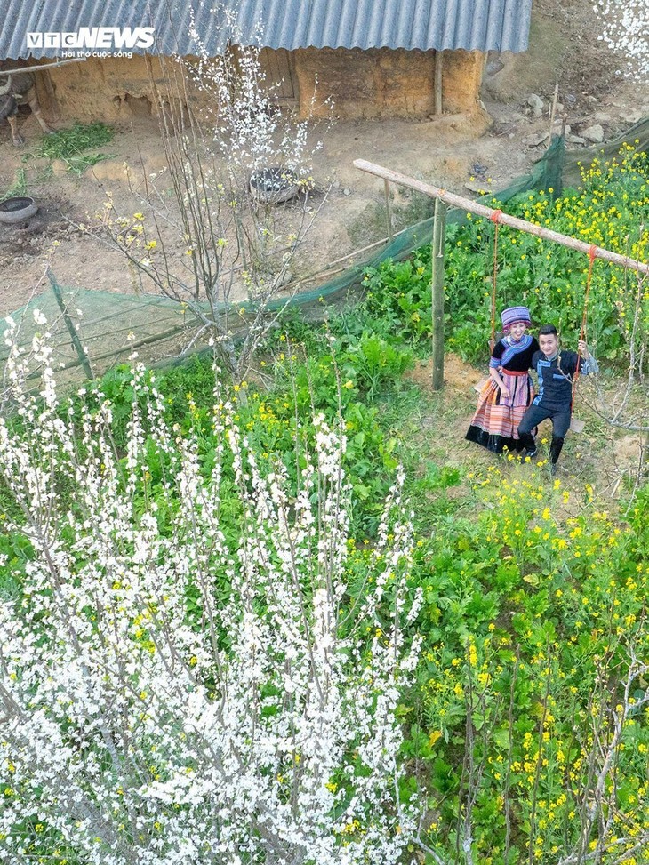 L'éveil printanier des pruniers à Ta Van Chu: une symphonie de blanc dans les montagnes - ảnh 9