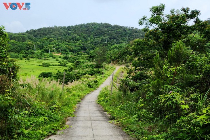 L'île de Thanh Lân - un joyau caché au milieu de l'océan - ảnh 5