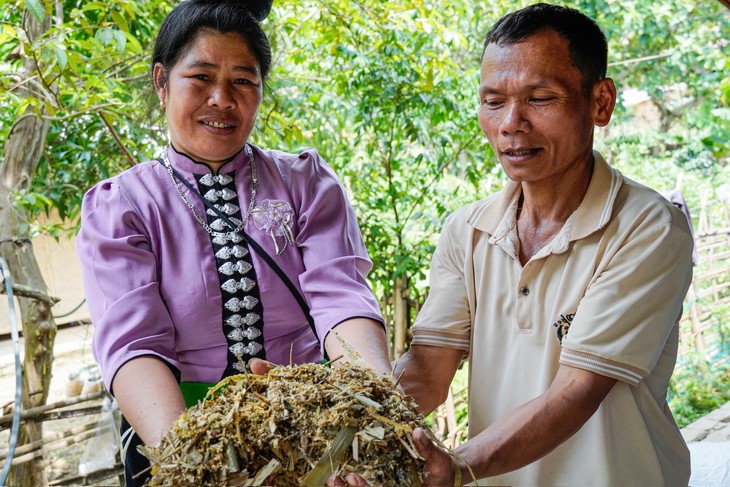 À Diên Biên, l’élevage change de visage - ảnh 3