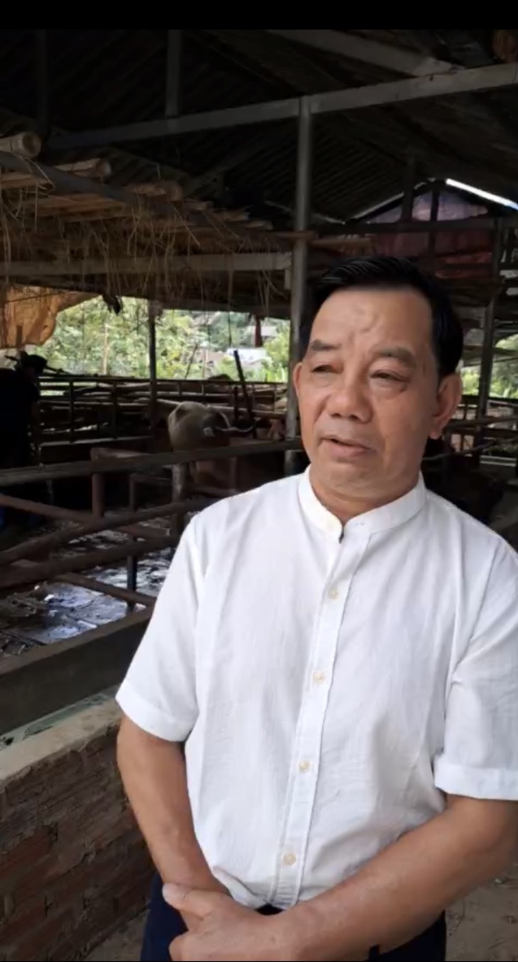 À Diên Biên, l’élevage change de visage - ảnh 6