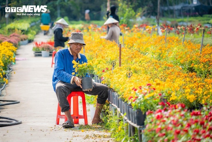 Sa Dec, la capitale florale du delta du Mékong, s’éveille aux couleurs du printemps - ảnh 4