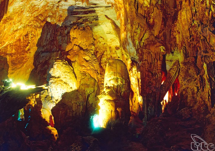 Quang Binh to promote Phong Nha - Ke Bang National Park tourism - ảnh 1