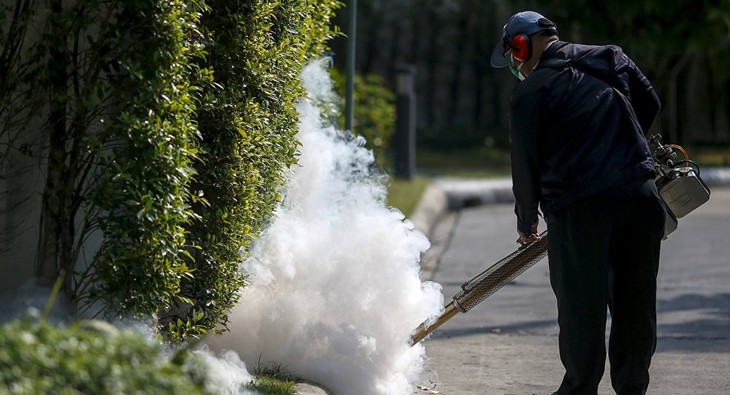 No Zika case reported in Vietnam yet - ảnh 1