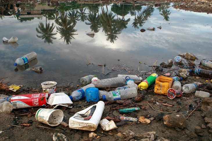 United Nations observes World Oceans Day - ảnh 1