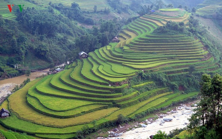 The Mu Cang Chai terraced field festival 2016 - ảnh 8