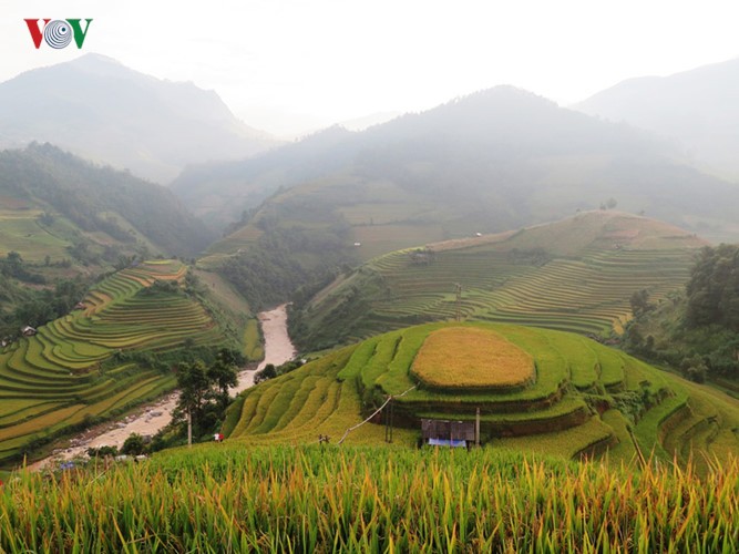 The Mu Cang Chai terraced field festival 2016 - ảnh 9