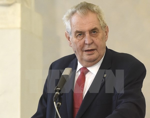 Czech President: Vietnam, Czech share enormous cooperative potentials - ảnh 2