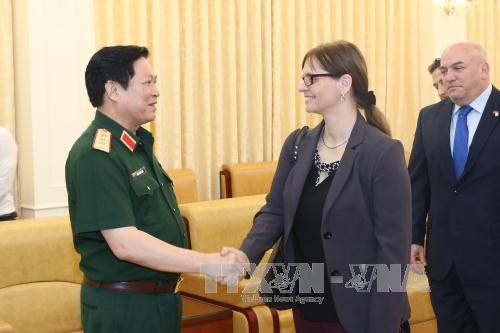 Defense Minister receives outgoing Israeli ambassador - ảnh 1