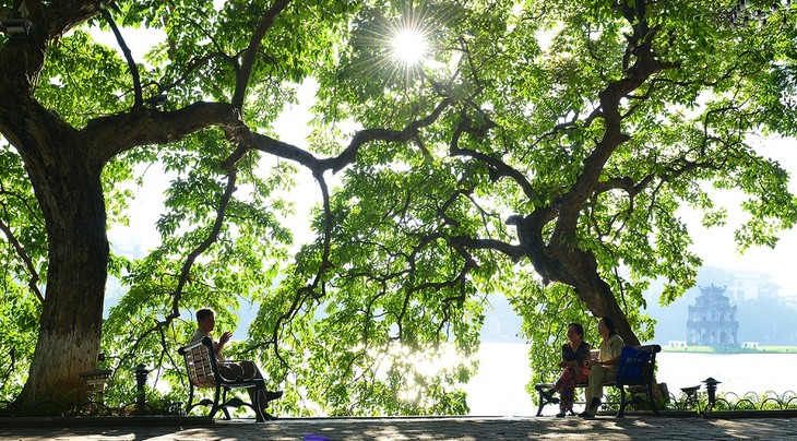 Autumn in Hanoi - ảnh 1