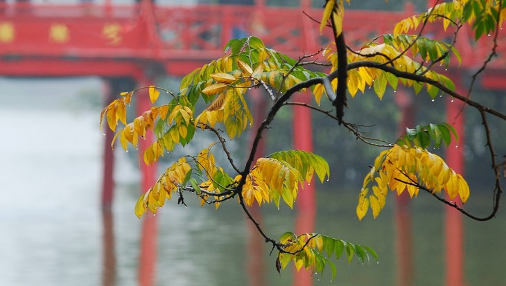 Autumn in Hanoi - ảnh 16