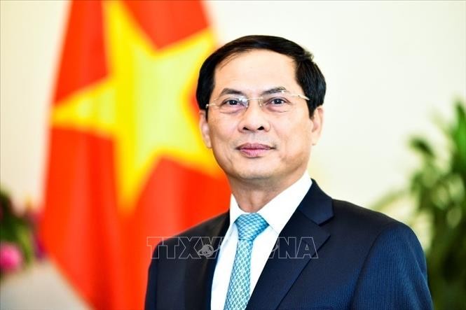 Deputy FM details APEC Economic Leaders’ Week outcomes - ảnh 1