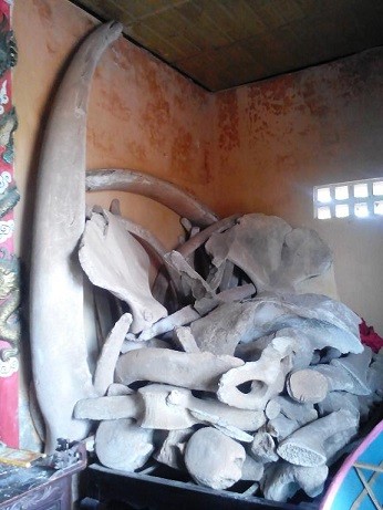 Whale worshiping ritual preserved in Canh Duong fishing village - ảnh 2