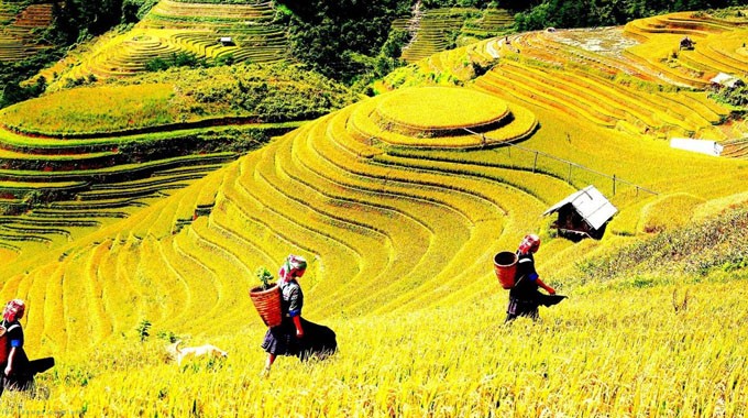 Mong ethnic culture highlighted in Hanoi, Yen Bai - ảnh 2