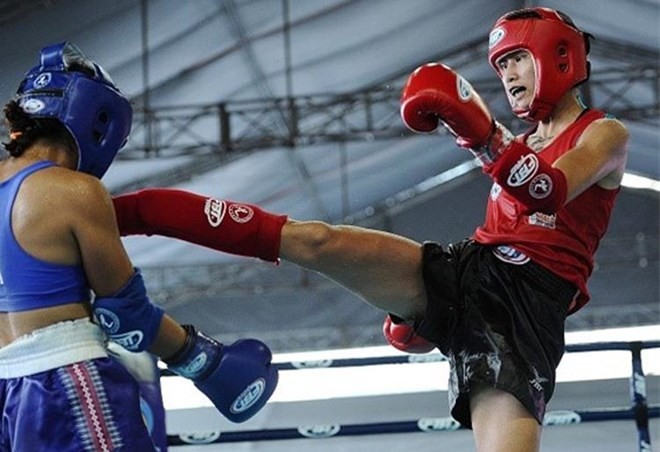 Vietnam wins golds at World Muay Thai Championships - ảnh 1