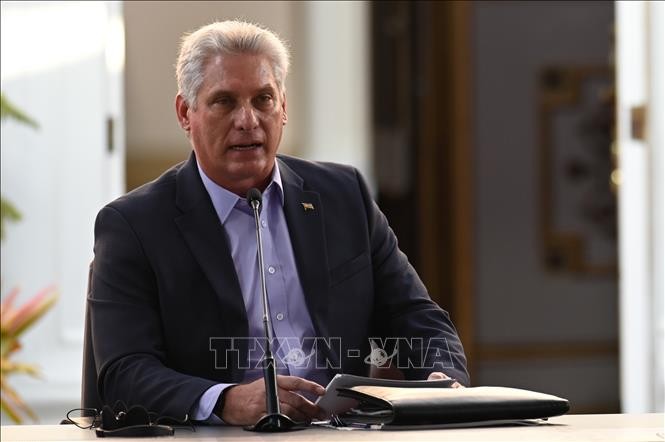 Cuba treasures solidarity with Vietnam: Cuban President - ảnh 1