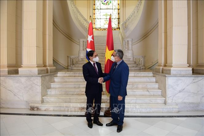 Vietnam, Cuba to strengthen foreign affairs cooperation - ảnh 1