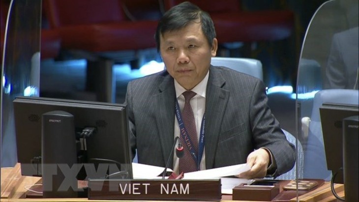 Vietnam welcomes Central African Government’s unilateral ceasefire - ảnh 1