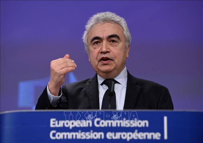 EU could face gas shortage next year, IEA warns - ảnh 1