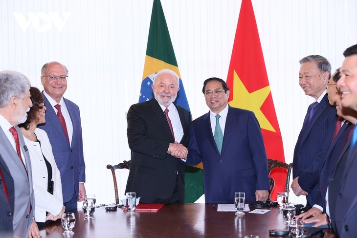 Vietnam, Brazil issue joint communiqué - ảnh 1